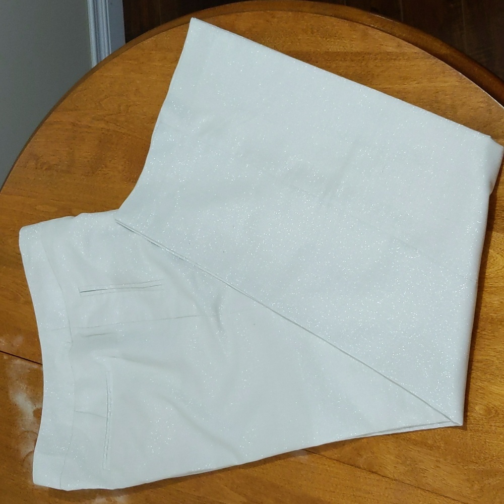 Eci| Cream Shimmery Pants with Four False  Pockets Front Zippered